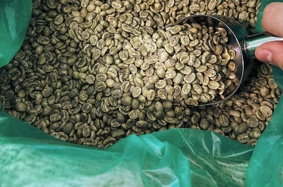 Green coffee in a GrainPro hermetic bag.